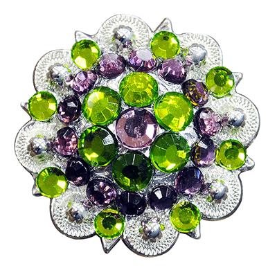 HSCN050-027-GREEN PURPLE CRYSTALS BERRY CONCHO RHINESTONE HEADSTALL SADDLE TACK BLING COWGIR