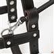 HSGH300-HILASON GENUINE LEATHER GUIDE HARNESS WITH HANDLE BROWN