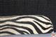 HSFP822-Saddle W- Zebra Print Hair On