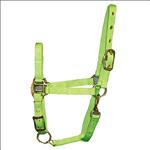 S76 3/4 INCH WEANLING HORSE ADJUSTABLE CHIN HALTER SNAP by HAMILTON PRODUCTS US
