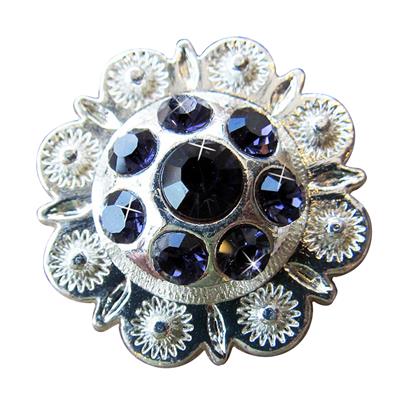 HSCN011-Crystal Rhinestone Bling Berry Conchos Iris Color