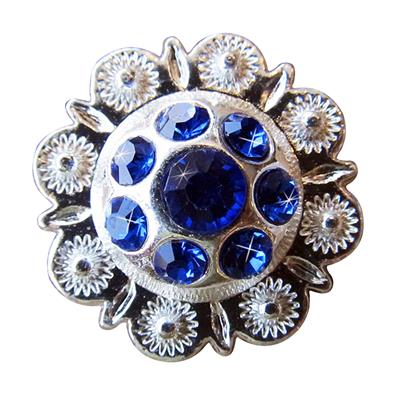 HSCN012-Crystal Rhinestone Bling Berry Conchos Sapphire color