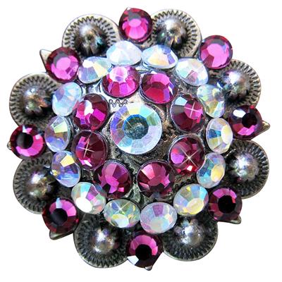 HSCN029-Crystal Rhinestone Bling Berry Conchos Antique Silver Finish