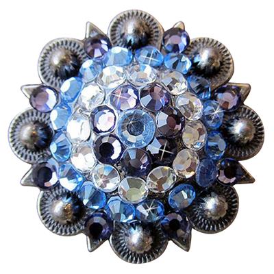 HSCN031-Crystal Rhinestone Bling Berry Conchos Antique Silver Finish