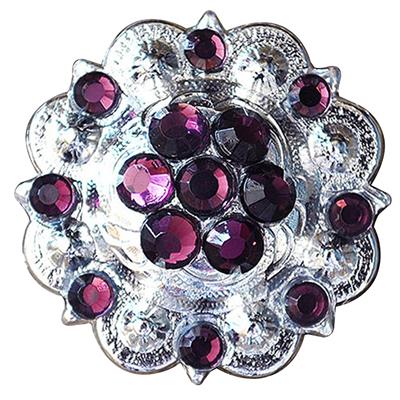 HSCN050-004-AMETHYST CRYSTAL BERRY CONCHO RHINESTONE HEADSTALL SADDLE TACK BLING COWGIRL