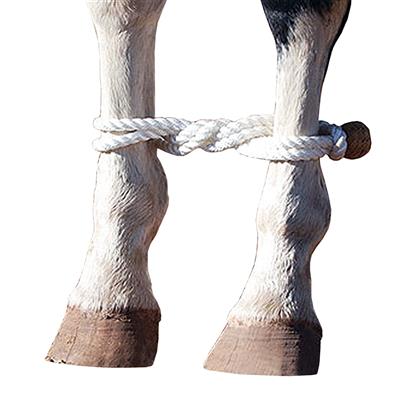 CE-ROPEHOB-Martin Saddlery Rope Hobbles