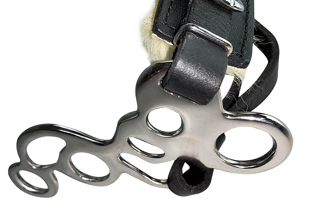 HA HILASON Pferd Hackamore Edelstahl mit Lederbezug - Bild 68 von 68