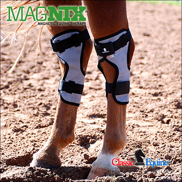 equine-veterinary-magnetic-therapy-unit-equitron-pro