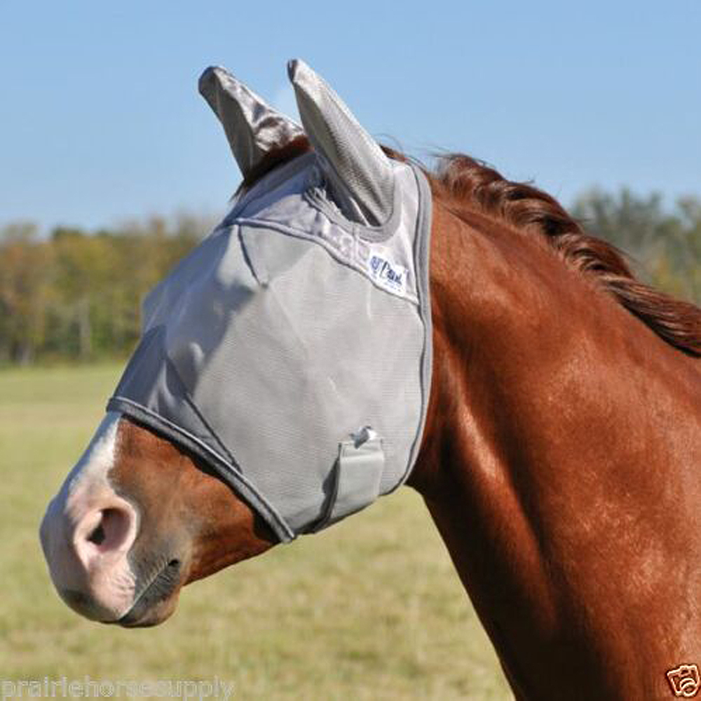 c-mase-cashel-pattern-crusader-horse-fly-mask-w-ears-standard