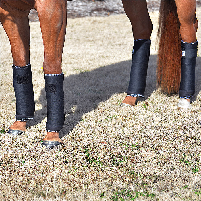 C-B154 12 FEET CLASSIC EQUINE HORSE LEG STANDING WRAP BANDAGE 4 PACK ...