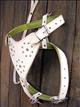 HSDH144-Off- White Leather Working Guide Assistance Dog Harness