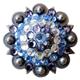 HSCN031-Crystal Rhinestone Bling Berry Conchos Antique Silver Finish