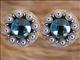HSCN045-Crystal Rhinestone Bling Berry Conchos Turquoise Clear