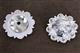HSCN050-Bright Silver Finished Floral Conchos
