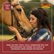 HSFP110-Felt Saddle Pad with Border-