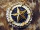 HSCN095-TEXAS STAR GOLD CONCHO SADDLE HEADSTALL TACK BLING COWGIRL