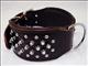 HSDC103-NEW HILASON GENUINE LEATHER SPIKES STUDDED PADDED DOG COLLAR BROWN