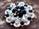 HSCN050-012-BLACK & AB CRYSTALS BERRY CONCHO RHINESTONE HEADSTALL SADDLE TACK BLING COWGIRL