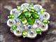 HSCN050-034-PERIDOT GREEN & AB CRYSTALS BERRY CONCHO RHINESTONE HEADSTALL SADDLE TACK BLING