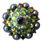 Crystal Rhinestone Bling Berry Conchos Antique Silver Finish