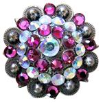 Crystal Rhinestone Bling Berry Conchos Antique Silver Finish