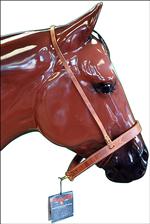 HORSE TACK LEATHER NOSEBAND/CAVESSON COMBO BY CIRCLE Y