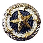 TEXAS STAR GOLD CONCHO SADDLE HEADSTALL TACK BLING COWGIRL
