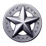 EMBOSSED TEXAS STAR CONCHO SADDLE HEADSTALL TACK BLING COWGIRL
