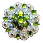 PERIDOT GREEN & AB CRYSTALS BERRY CONCHO RHINESTONE HEADSTALL SADDLE TACK BLING